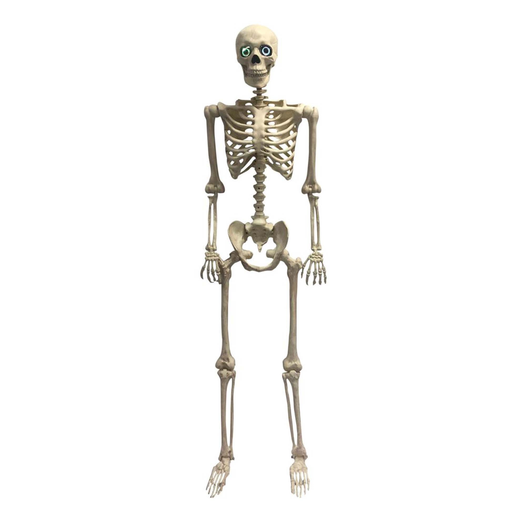 Animated Light-Up Skeleton, 36 Inches, 1 Count