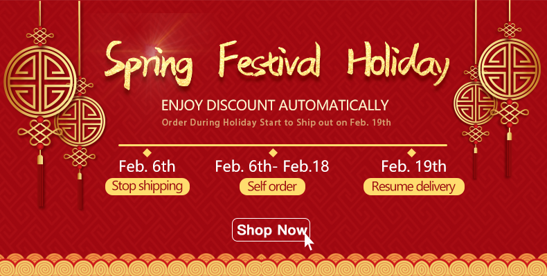 VXDAS Spring Festival Event