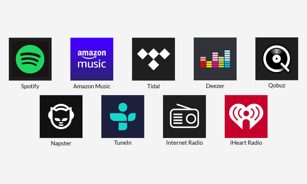 Arylic S10 internet streaming with Spotify connect, Amazon Music, Tidal, Deezer