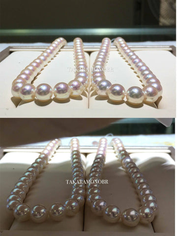 cultured akoya pearls