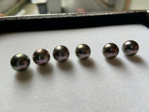 Tahitian loose pearl for wolsesell