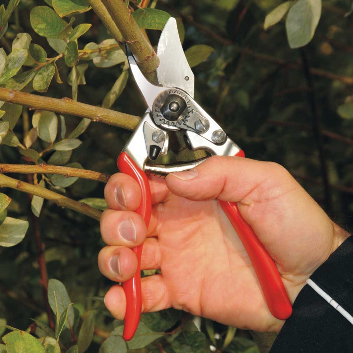 FELCO 6 Ergonomic Hand Pruner