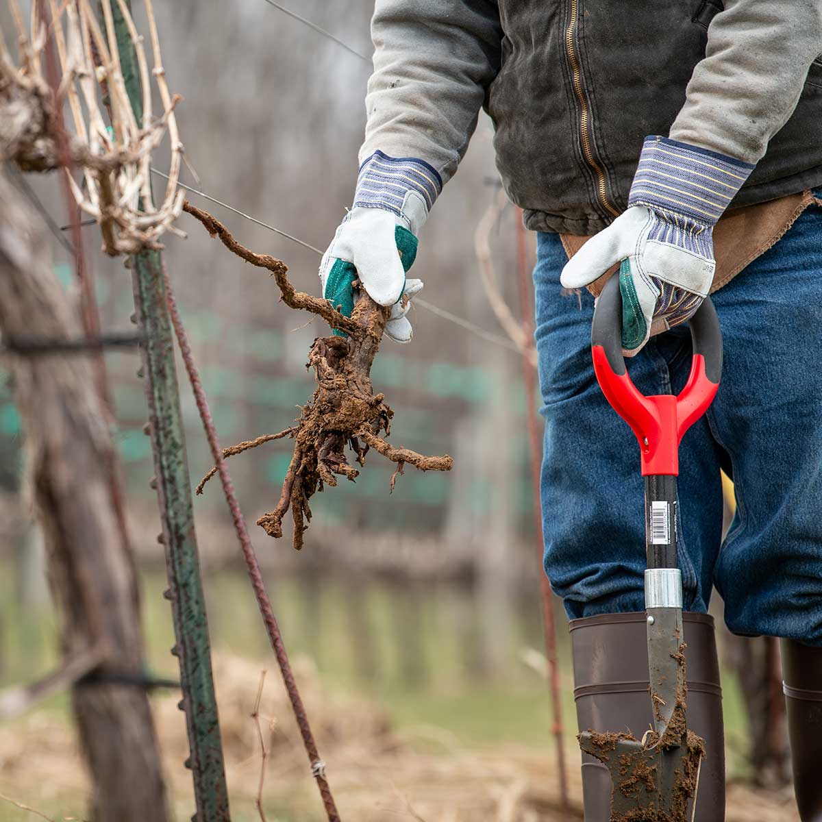 Root Slayer Mini Digger