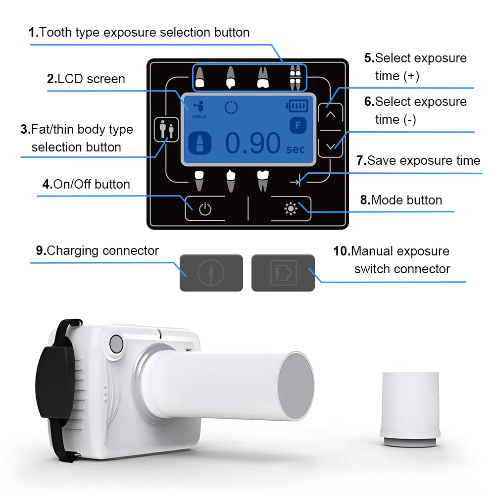 Dental X Ray Dental Imaging System Intraoral Digital X-ray Sensor Size Image Sensor for Veterinary Clinics Dental Clinic