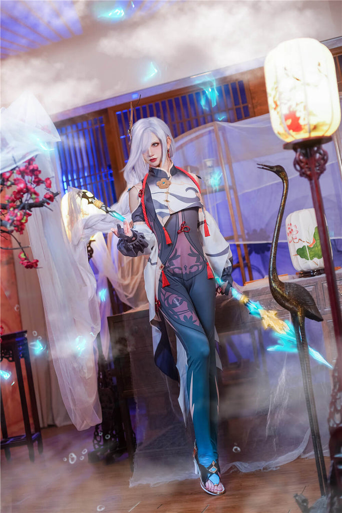 Genshin Impact Shenhe Costumes