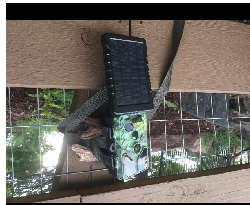 wifi trail camera