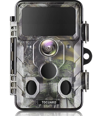 Campark Trail Camera Review