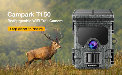 trail camera wireless