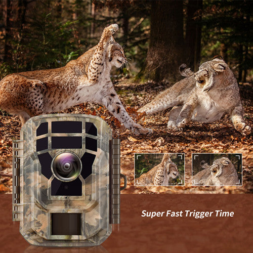 Wi-Fi Trail Camera for animals