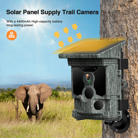 trail camera