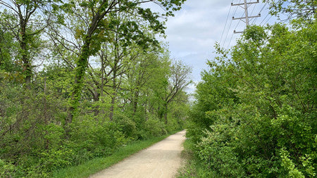 trail camera shooting effect picture