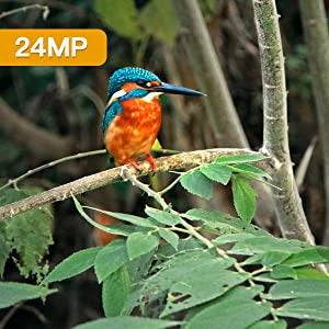 Voopeak T90 4K 24MP WiFi Bluetooth Trail Camera With Low Glow Night Vision(Only available in the AU)