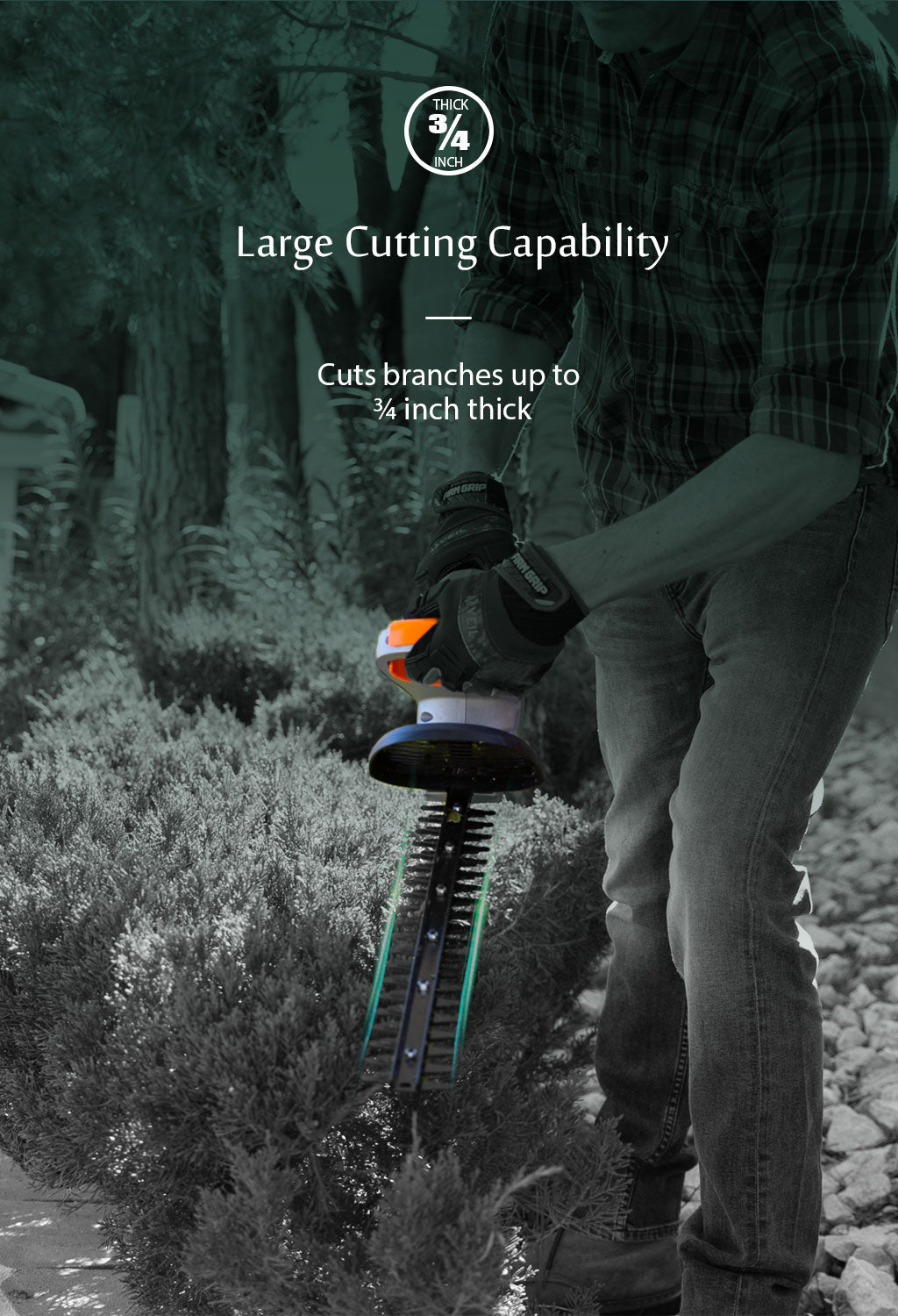 battery hedge trimmer