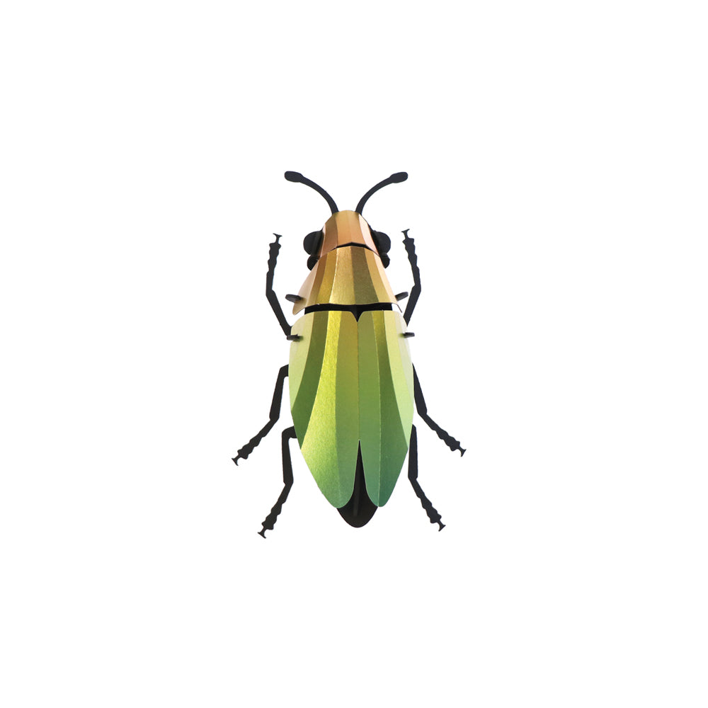 3d jewel beetle kit