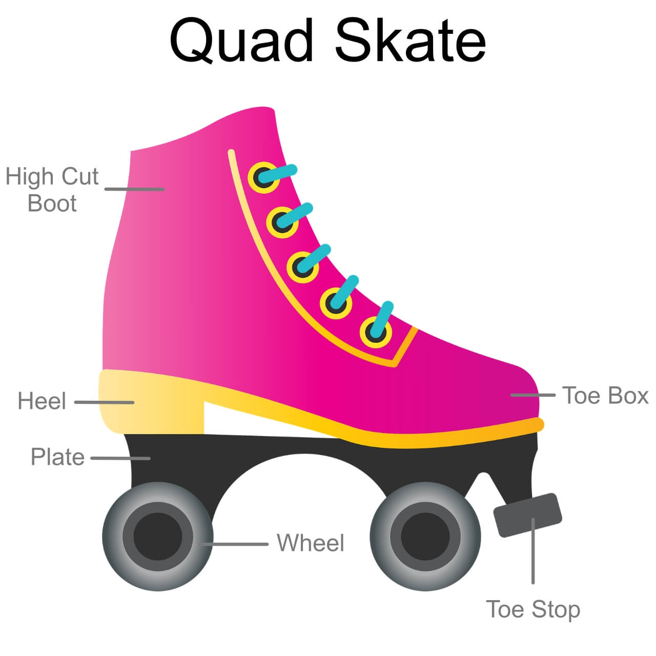 Diagram of a Quad Skate. Things You Need to Know Before Stepping in on the Roller-Skating Trend | Hummingbird Blog