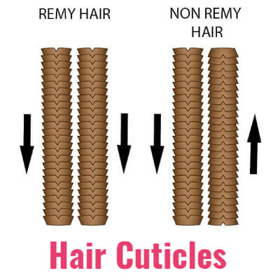 hair cuticles