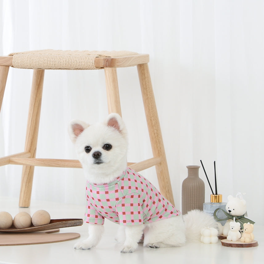 R logo Dogs Clothes Checked patterned Casual Cute Comfortable Clothing Sweaters Korean Designers Apparel Outfits Pastel Colours Pets Knit Banding