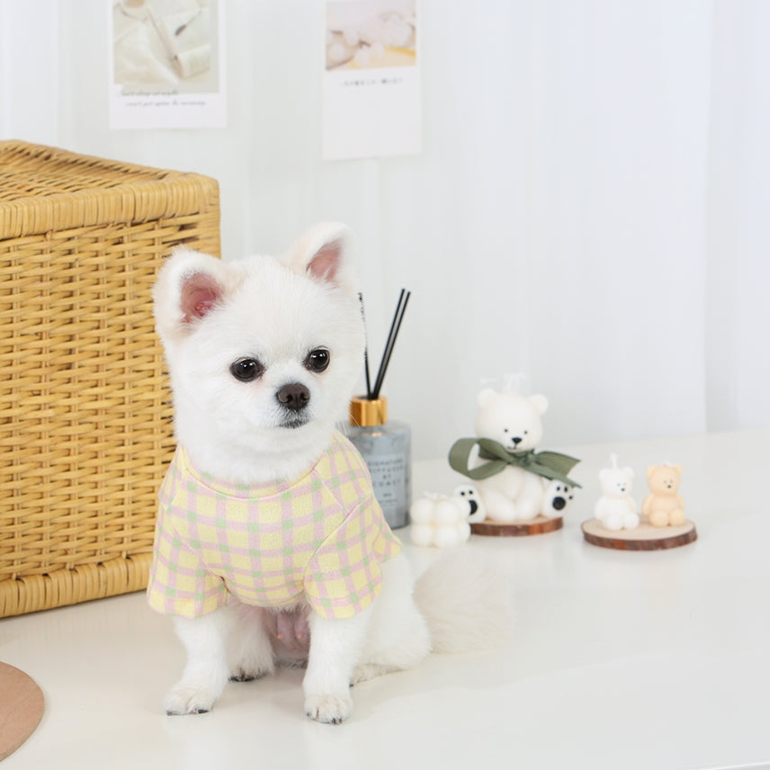 R logo Dogs Clothes Checked patterned Casual Cute Comfortable Clothing Sweaters Korean Designers Apparel Outfits Pastel Colours Pets Knit Banding