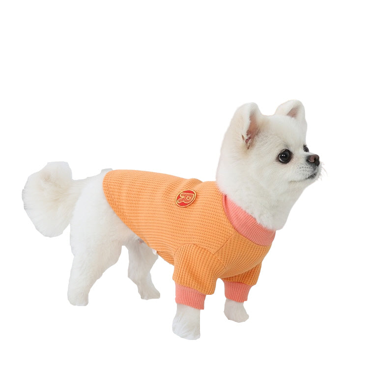 R logo Dogs Clothes Waffle patterned Casual Cute Comfortable Clothing Korean Designers Apparel Outfits Bright Colours Pets