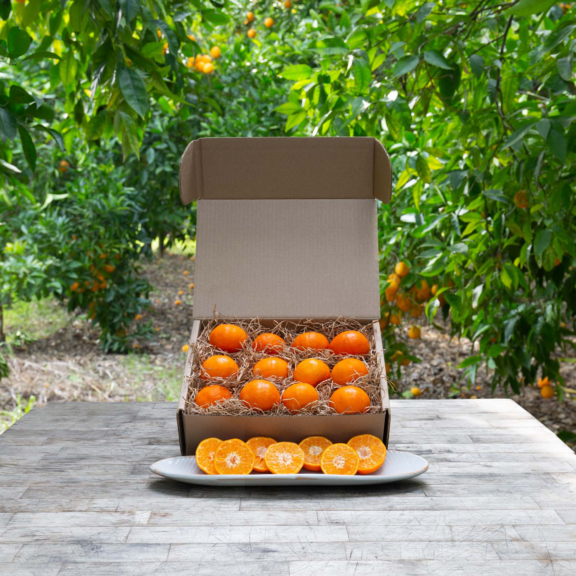 Organic TDE Triple Cross Mandarins