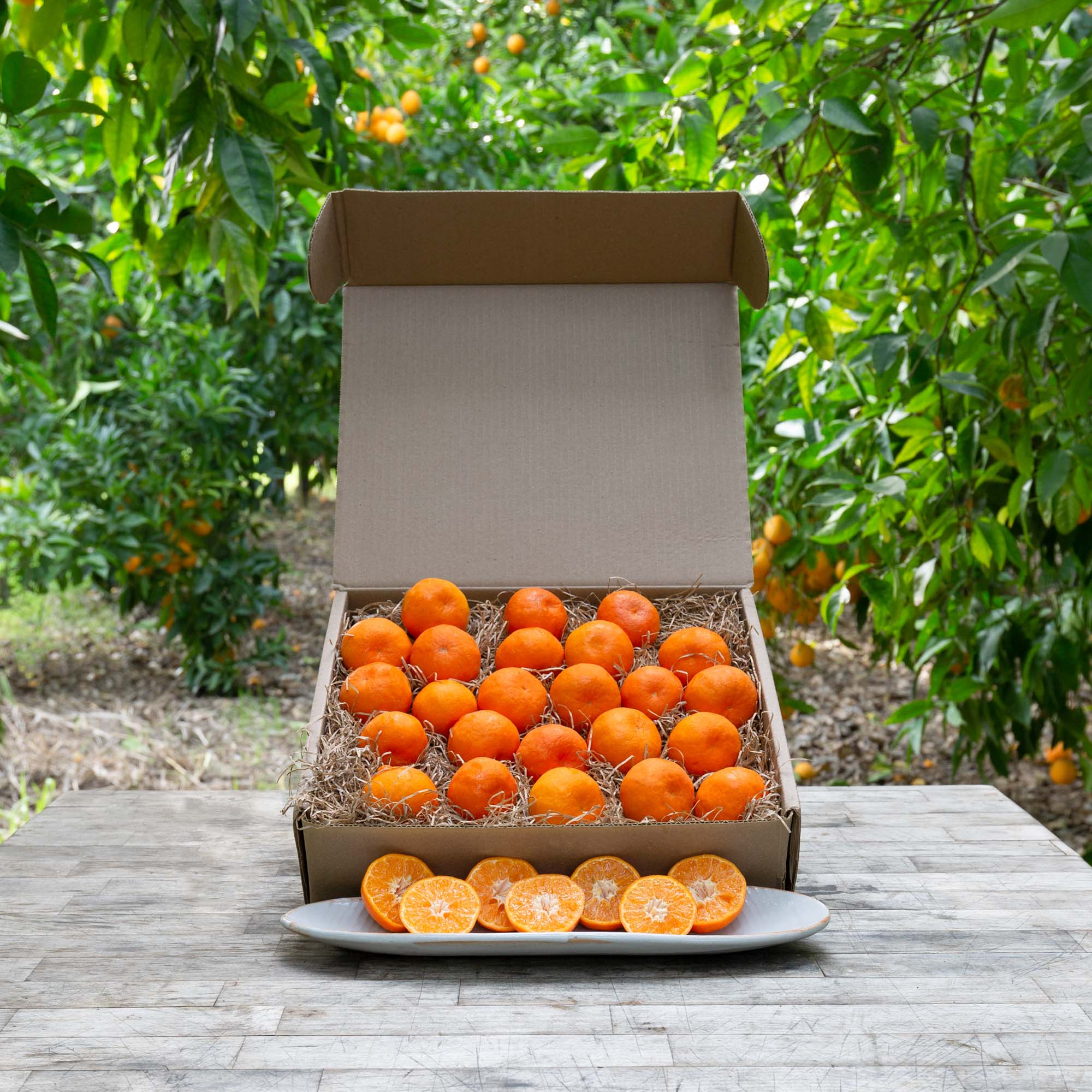 Organic TDE Triple Cross Mandarins