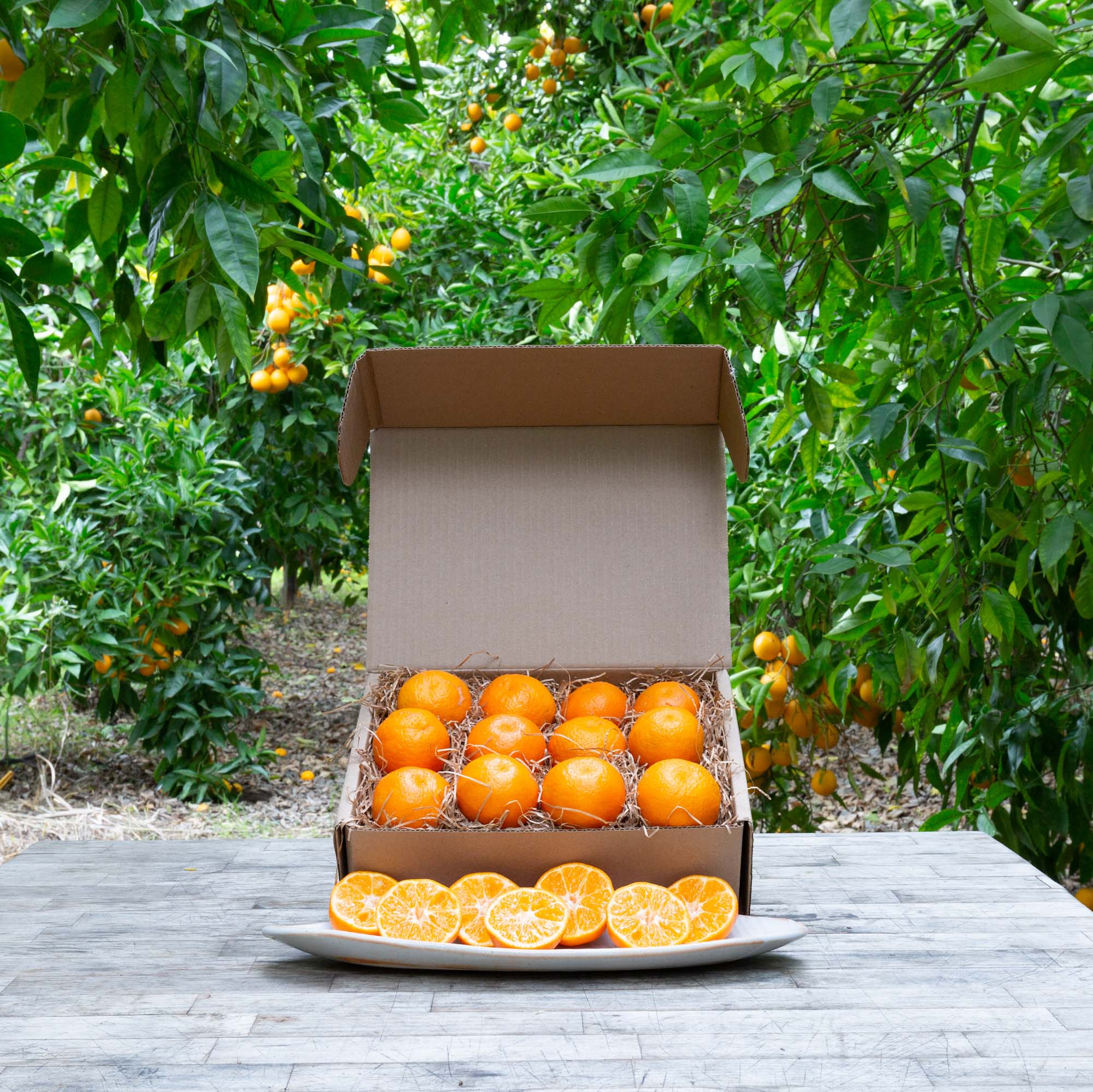 Organic Clementine Mandarins