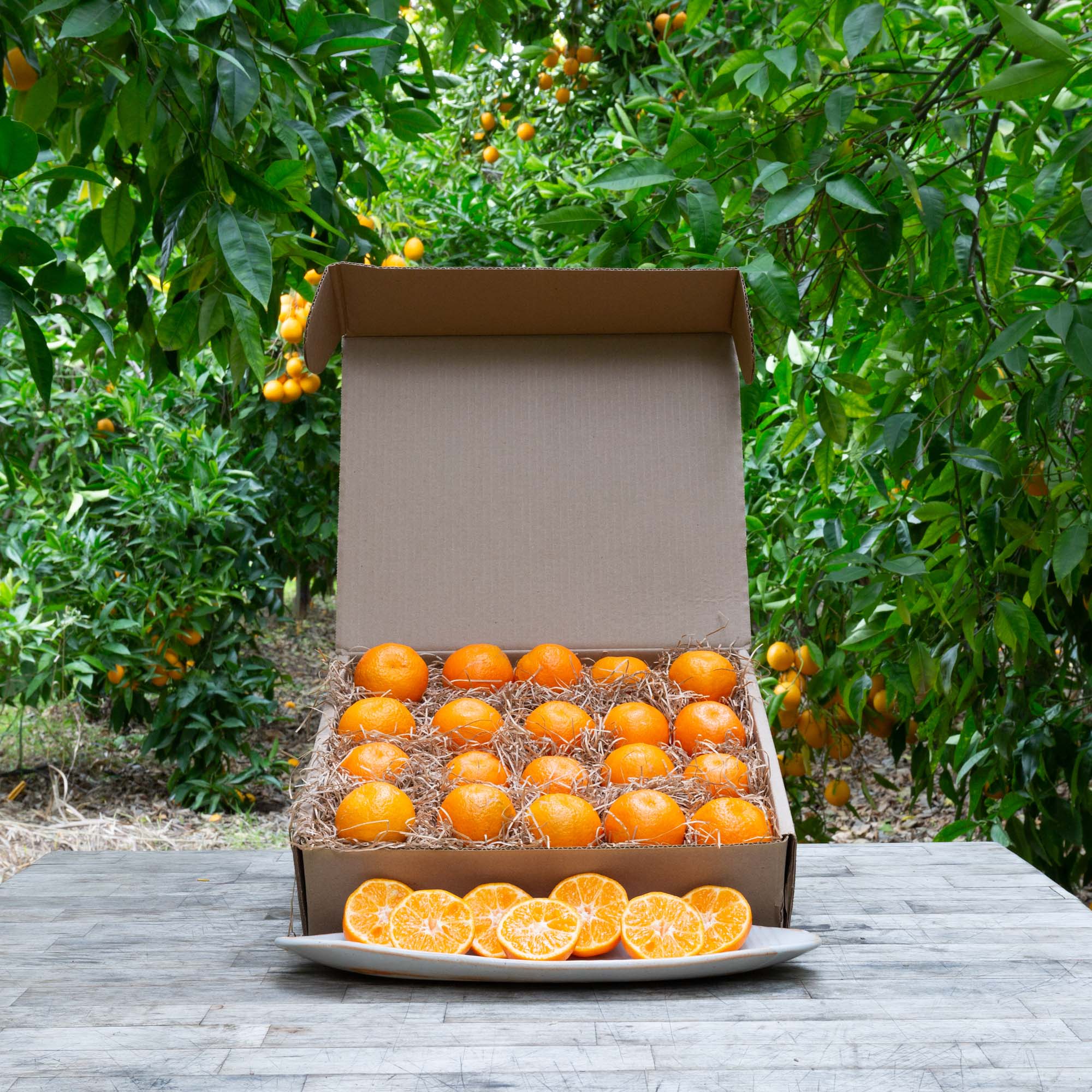 Organic Clementine Mandarins