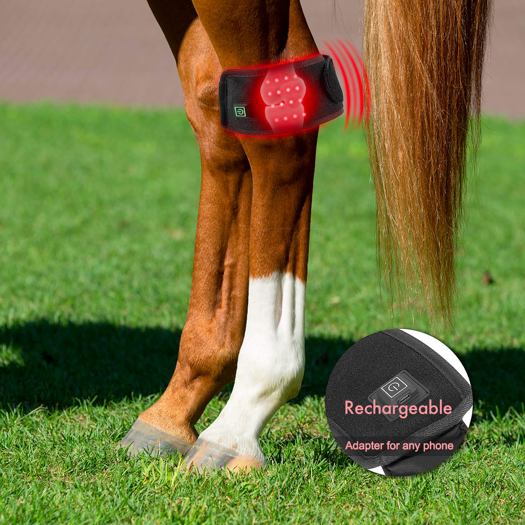 Wear Medical Equine LED Light Therapy Pads for Injury Faster Healing