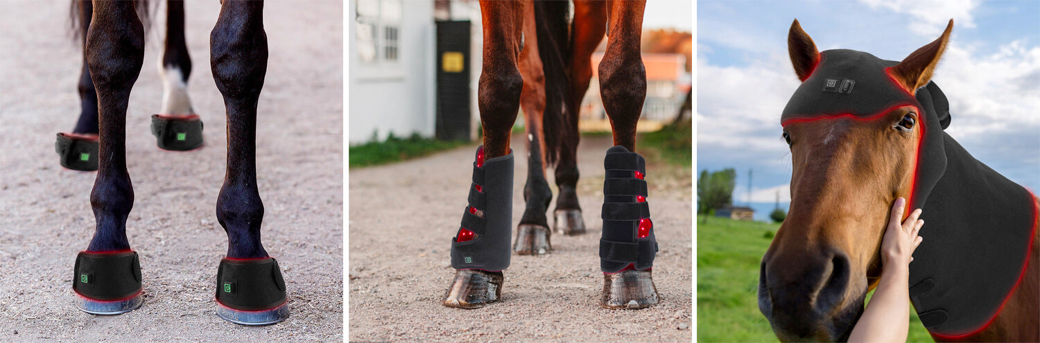 EquineGlow Wrap