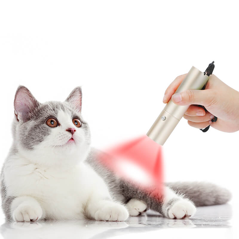 red-light-therapy-torch-device-for-pets