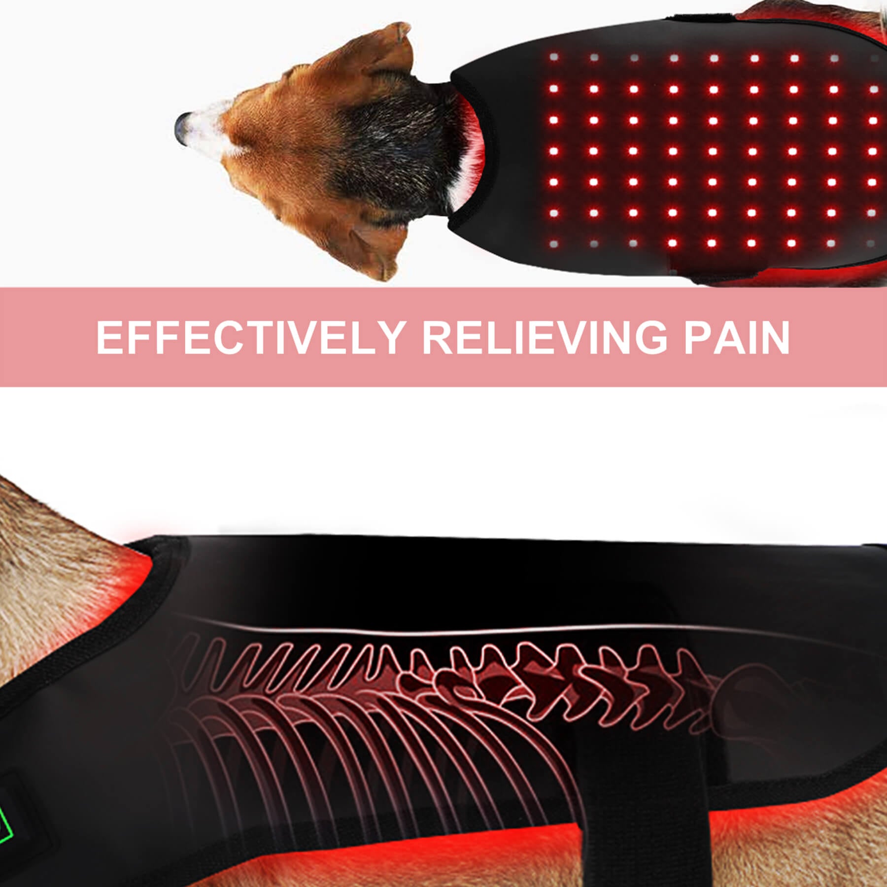 New LED Red Infrared Light Dog Clothes