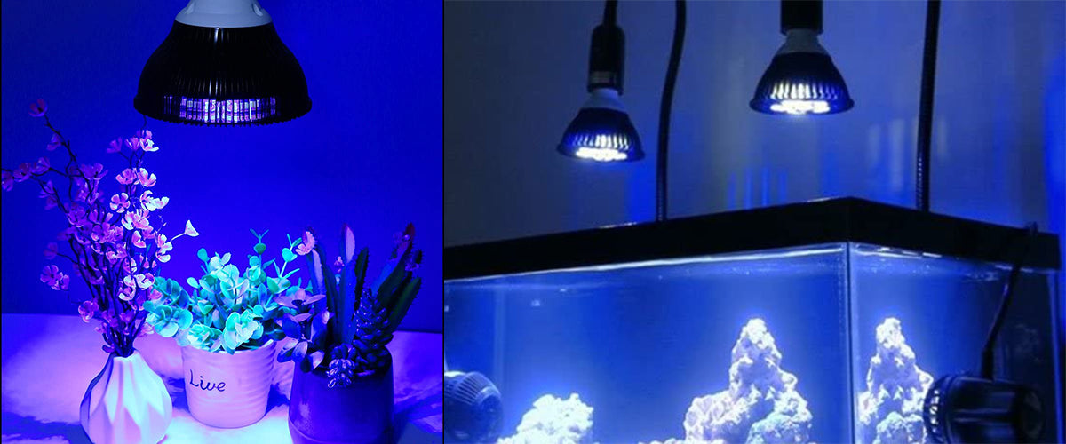 blue light therapy lamp for aquarium plants growth