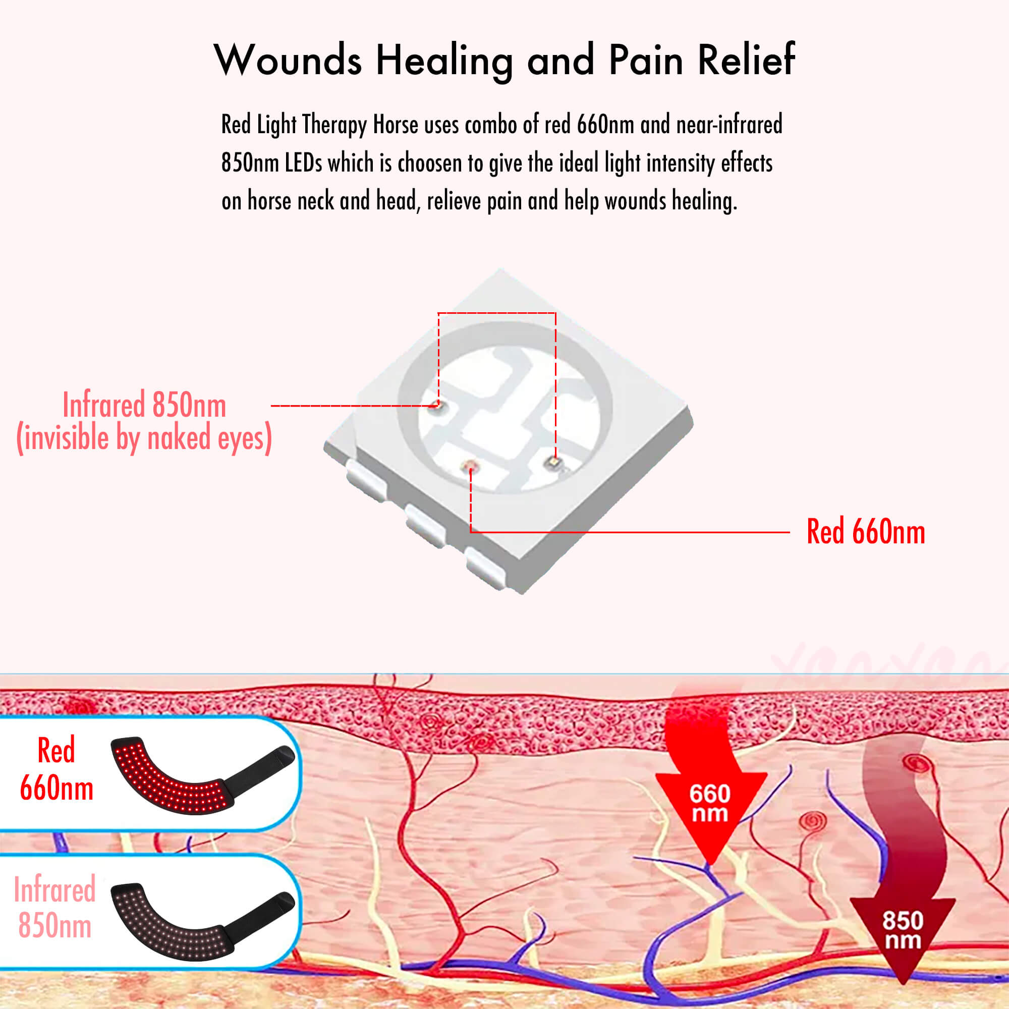660nm 850nm therapeutic horse blanket infrared light therapy Horse Bell Boots Tendon Riding Horse hoof Boots