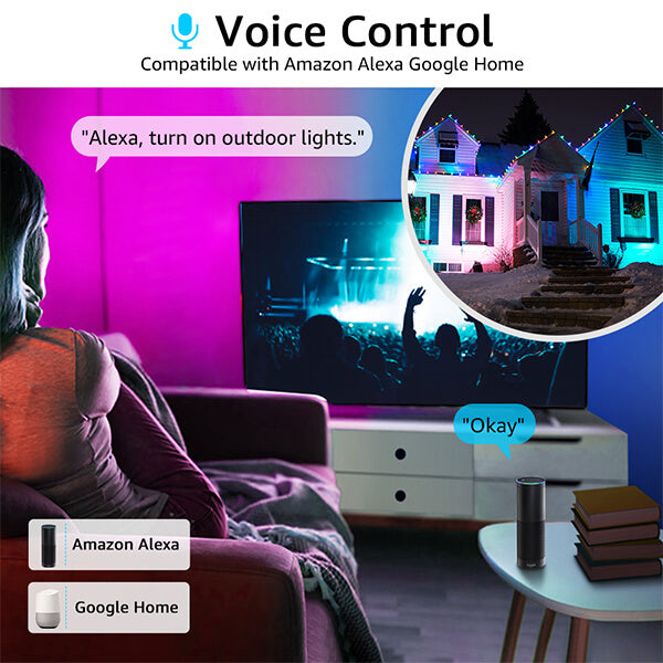 2x10W Smart RGB LED Flutlicht, Alexa Farbwechsel IP66 Wasserdichtes Flutlicht (EU Standard)