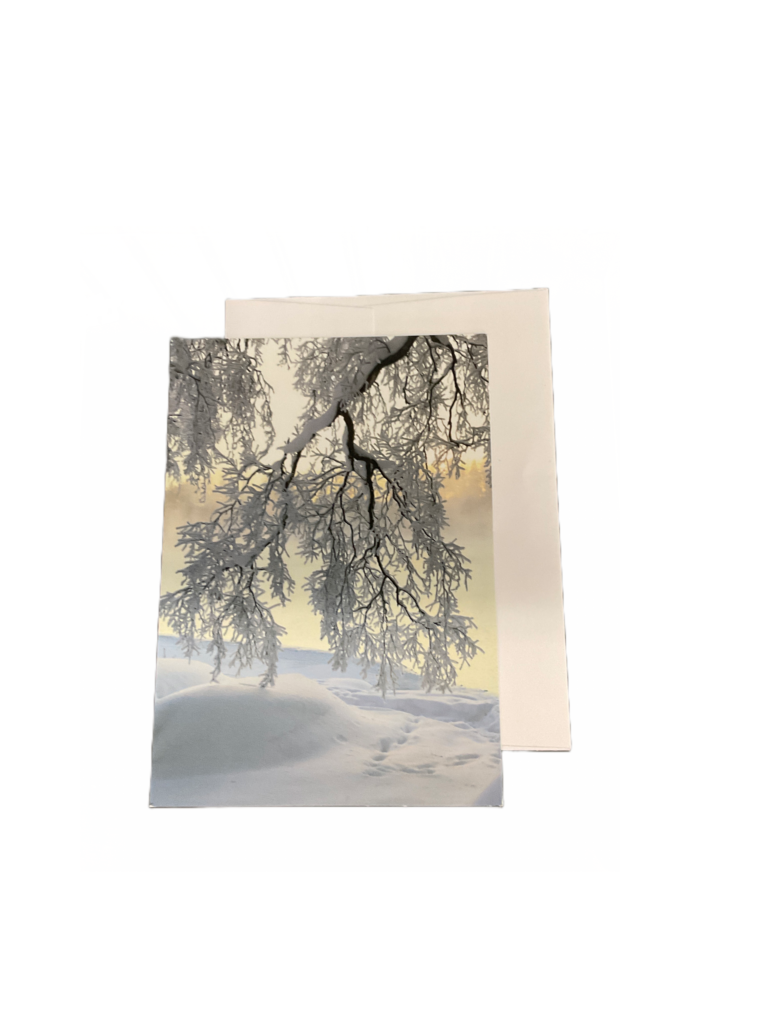 Snow Scene Card