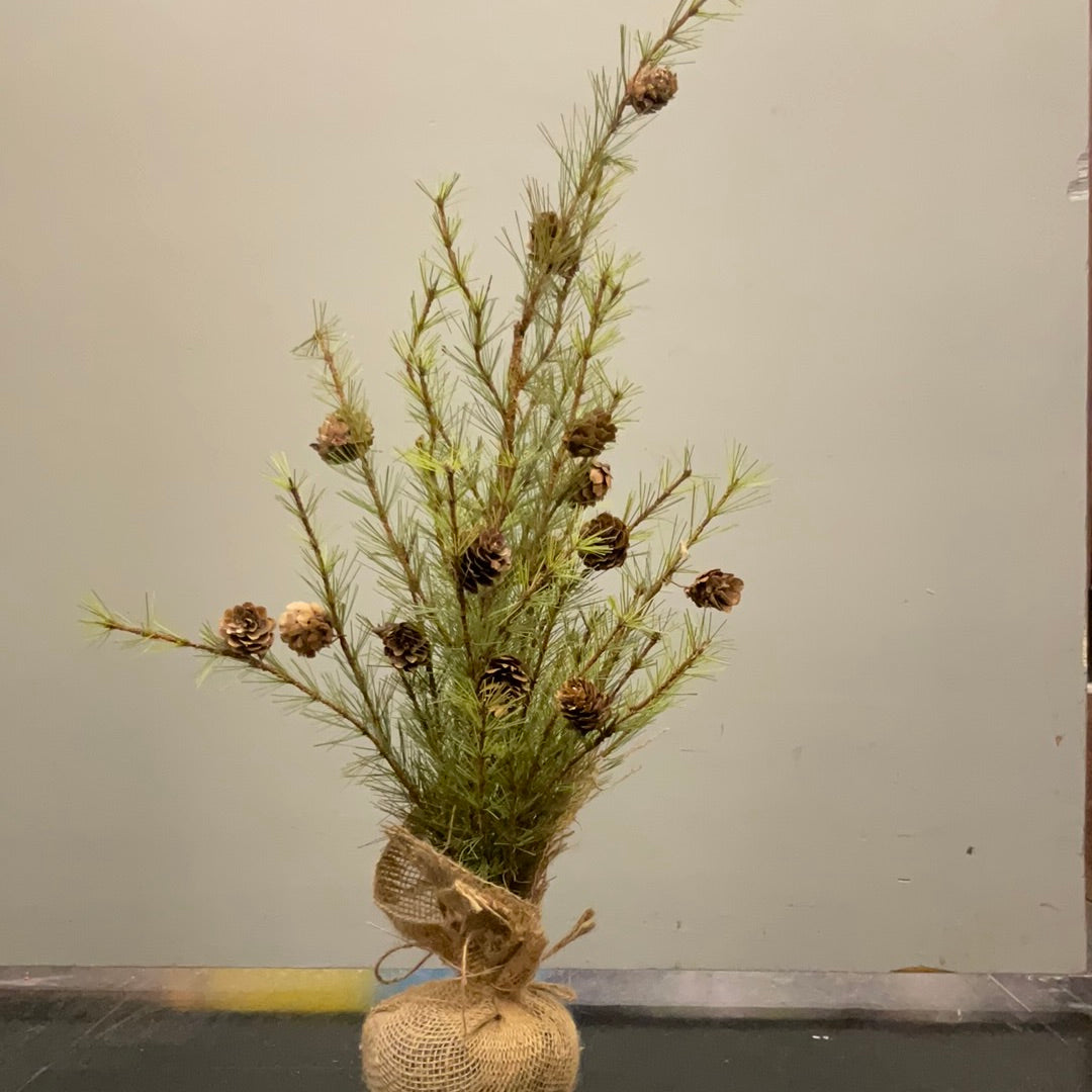 Cypress Pine Faux Tree 2 Ft