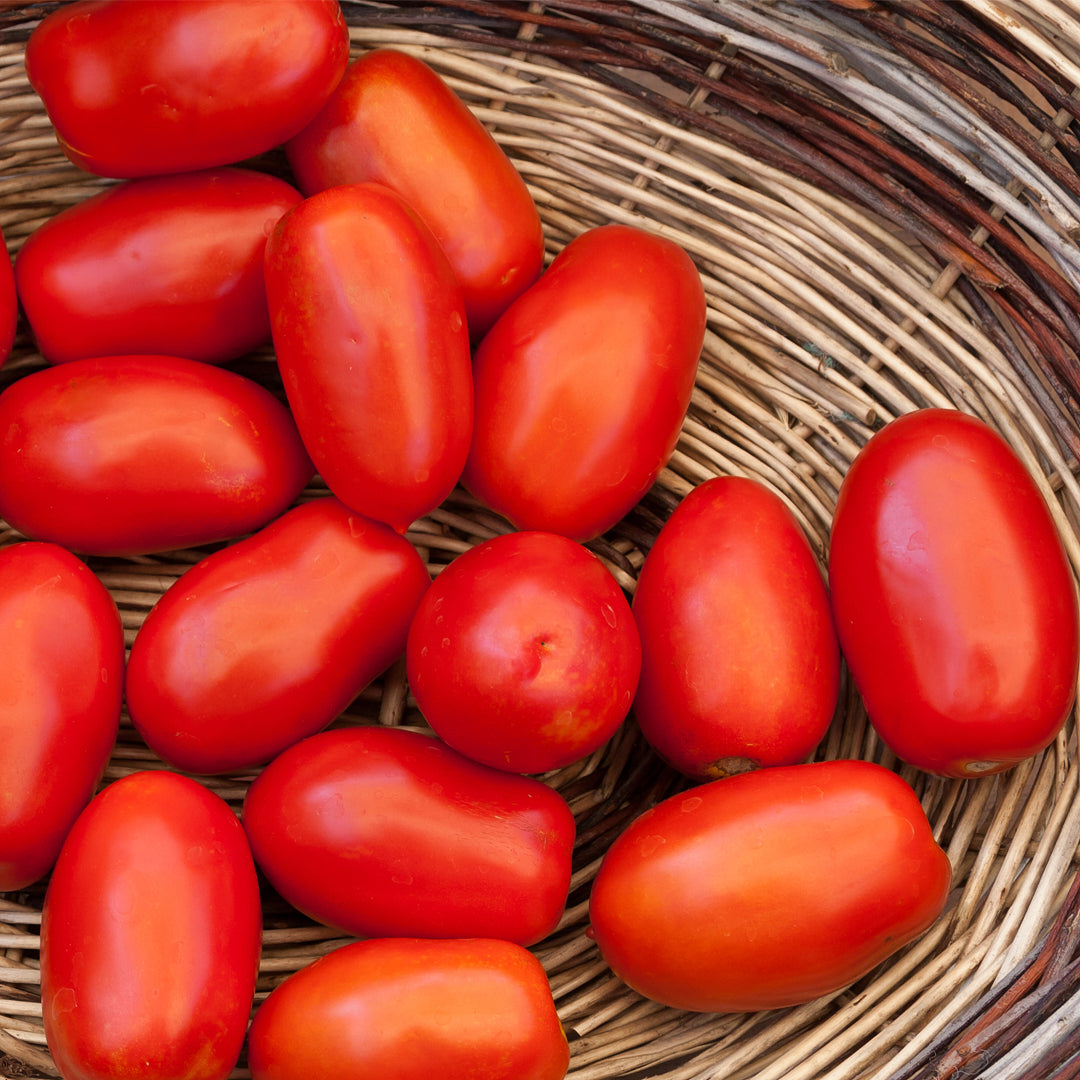 San Marzano DOP Tomato Basil Pasta Sauce