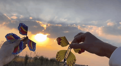 Flying in the Book Magic Butterfly flying Card Toy with Empty Hands Butterfly Wedding Magic Props Magic Tricks