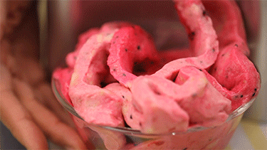 מכונת-גלידה-פרוזן-ביתית