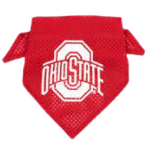 The Worthy Dog Ohio State Mesh Dog Bandana