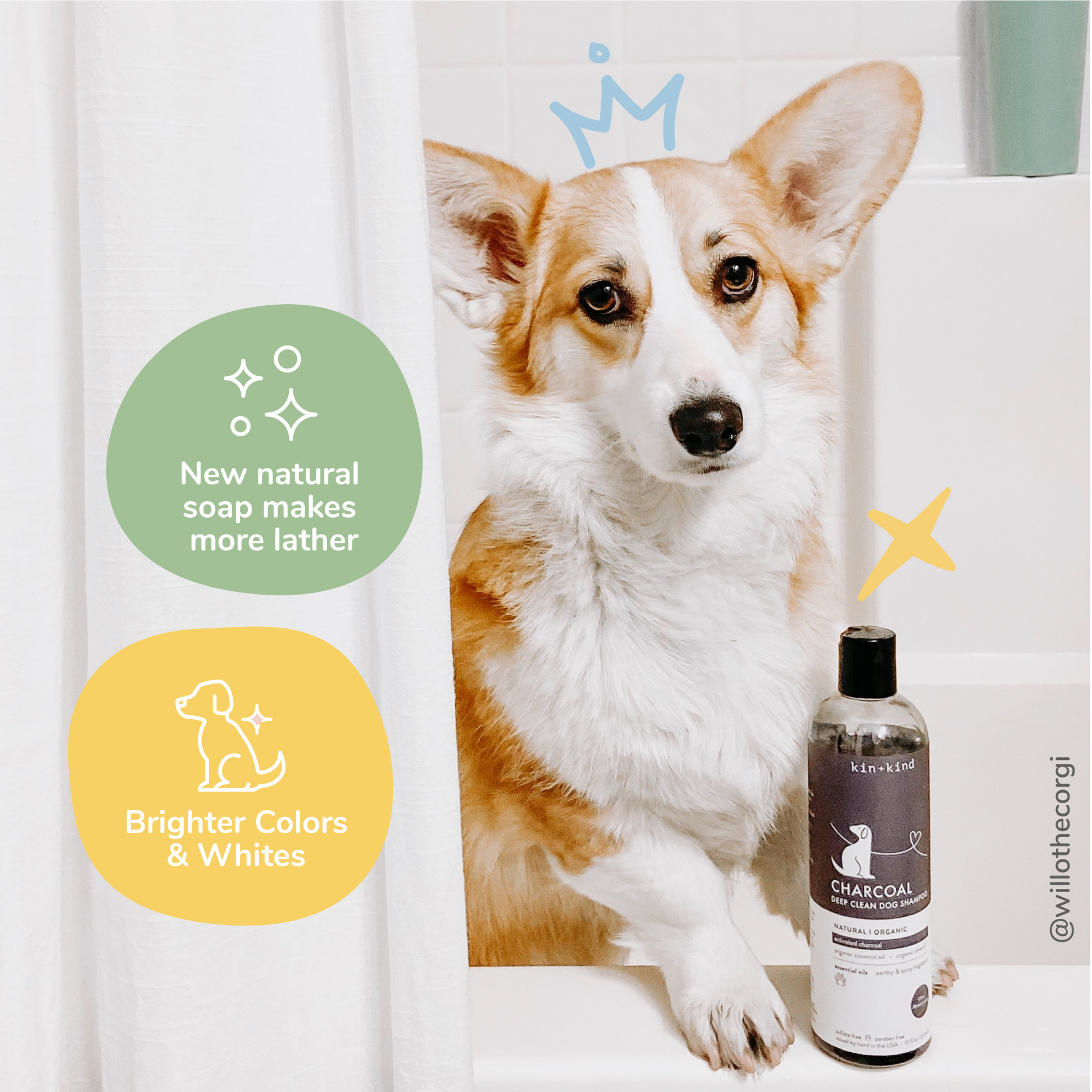 Kin + Kind Charcoal Deep Clean Natural Shampoo for Dogs Patchouli, 12 oz