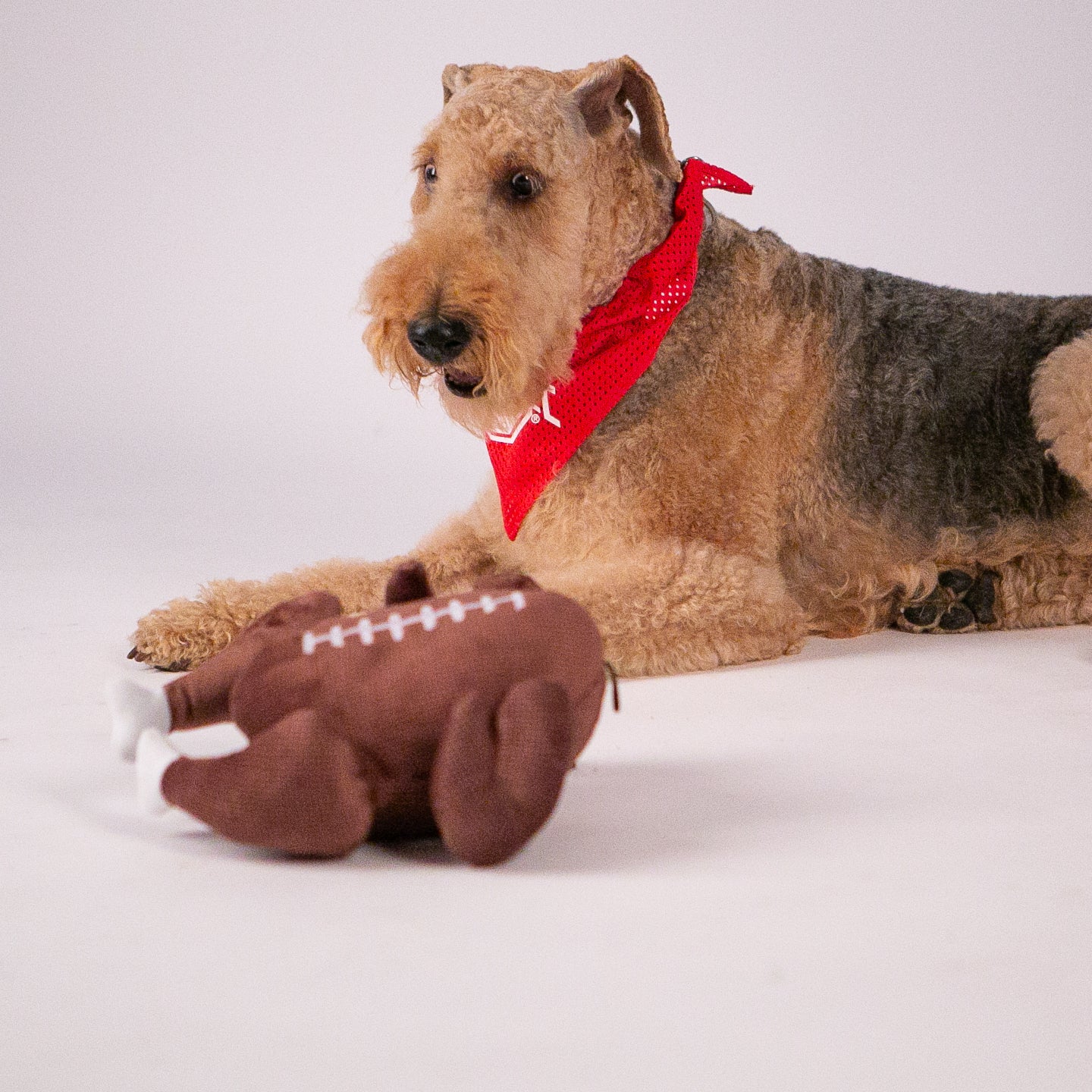 The Worthy Dog Ohio State Mesh Dog Bandana