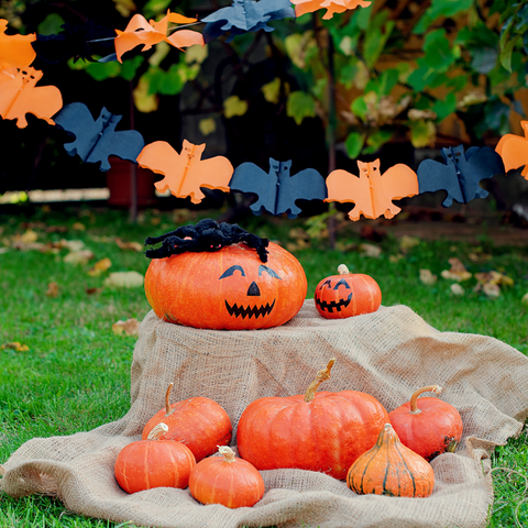 holloween backyard decoration