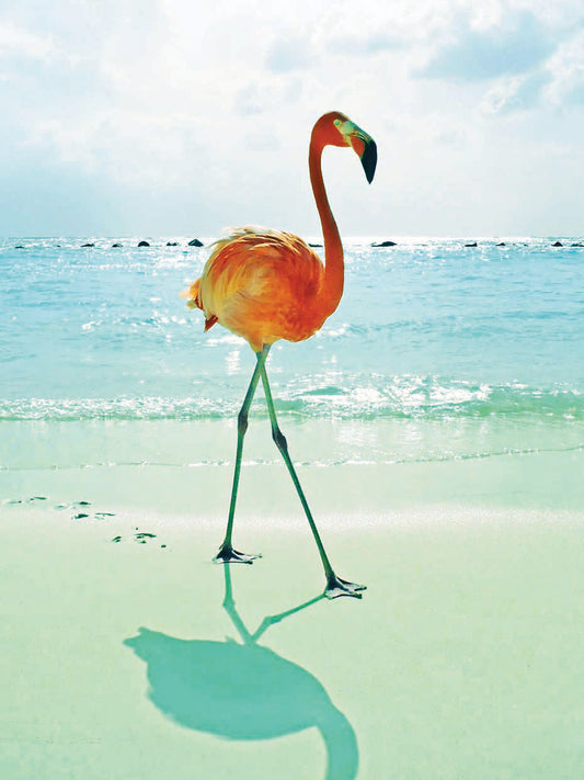 Flamingo on the Beach