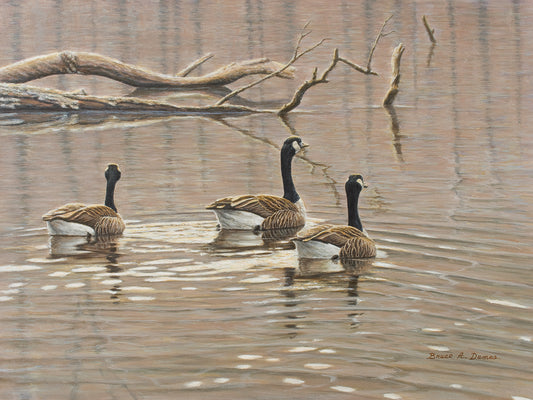 Early Spring Geese Trio