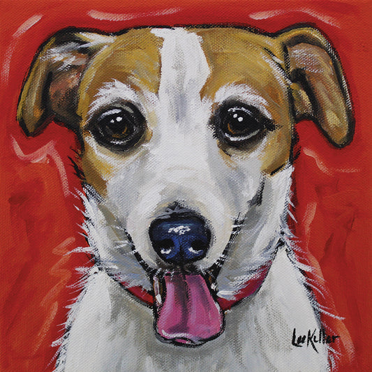 Jack Russell Ginny