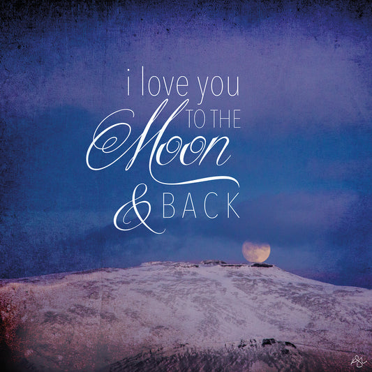 I Love you to the Moon