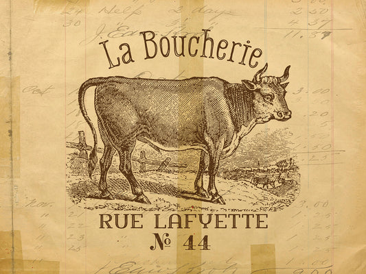 French Cow