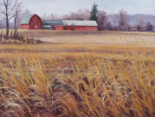 Red Barn on the Field