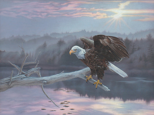 The Huron Eagle